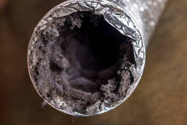 Best HVAC Air Duct Cleaning  in Friendly, MD